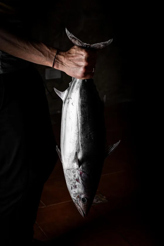 Una mano sostiene por la cola un pescado plateado recién llegado de la costa