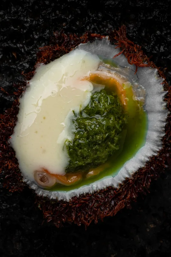 Una lapa con mojo verde servida sobre piedra volcánica negra